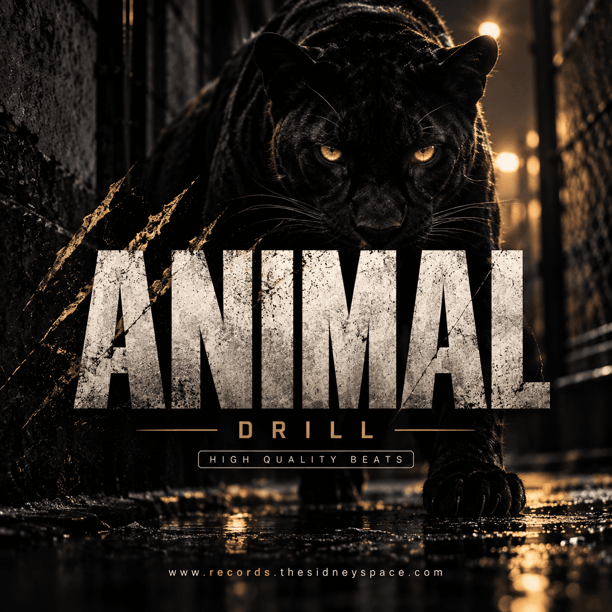 Animal